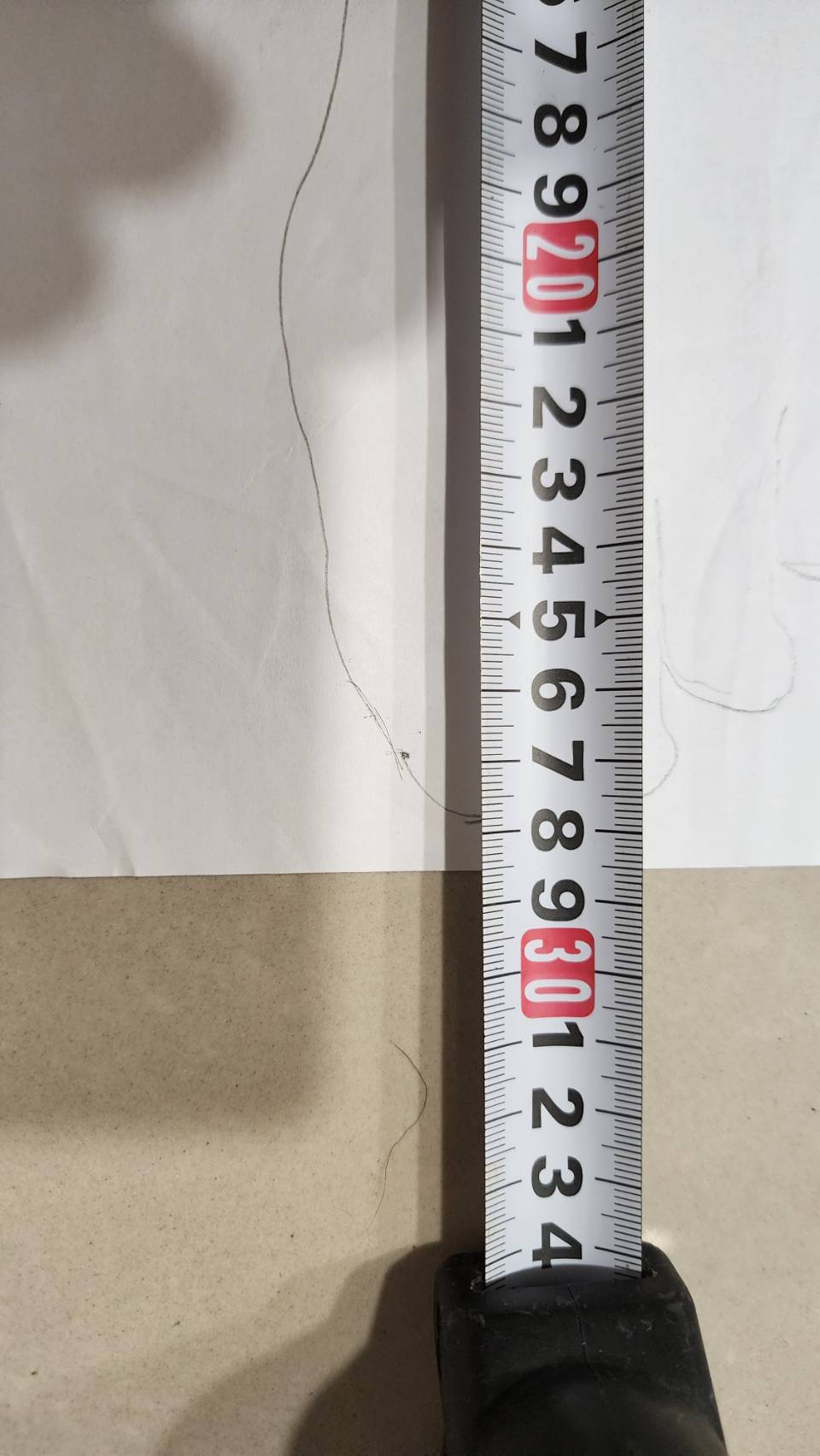 右腳輪廓量測，長度 29cm，前掌寬 110mm