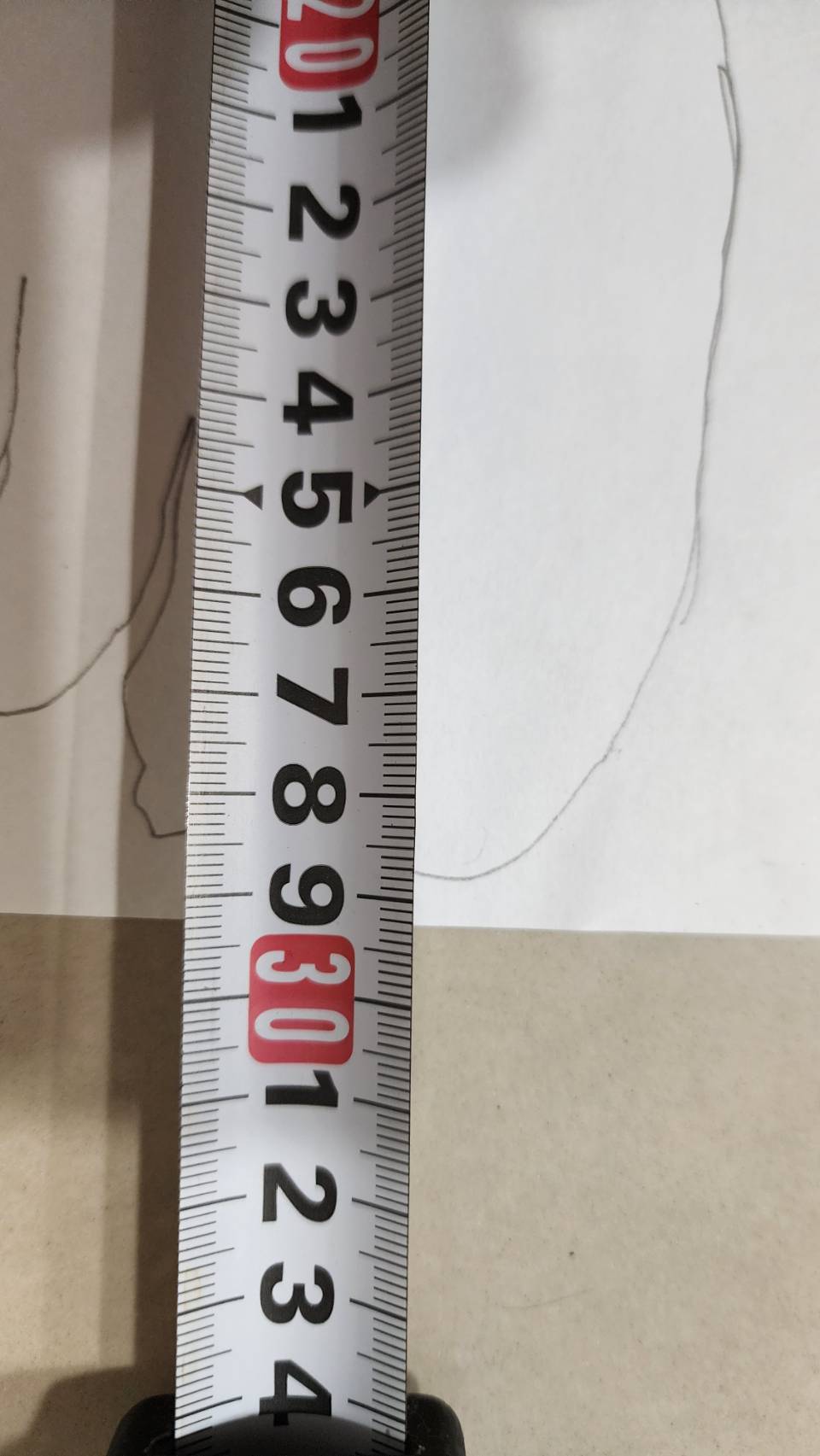 左腳輪廓量測，長度 28.5cm，前掌寬 110mm